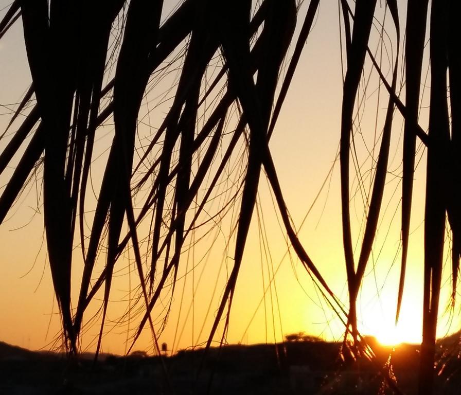 Lapa Lapa Lobitos Bungalows Hotel Bagian luar foto