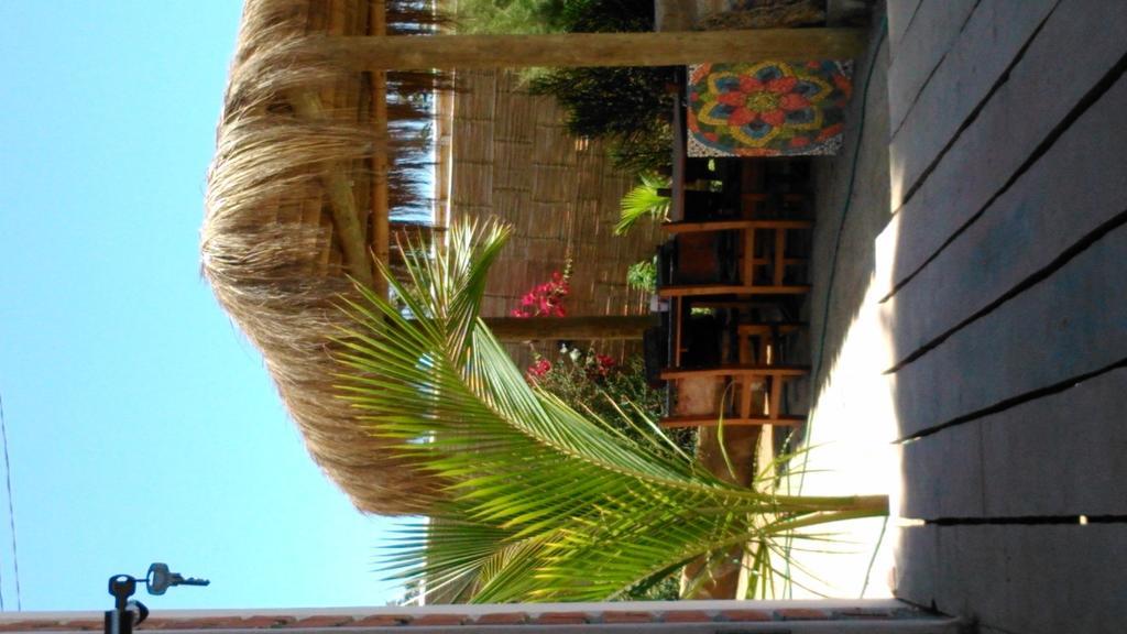 Lapa Lapa Lobitos Bungalows Hotel Bagian luar foto