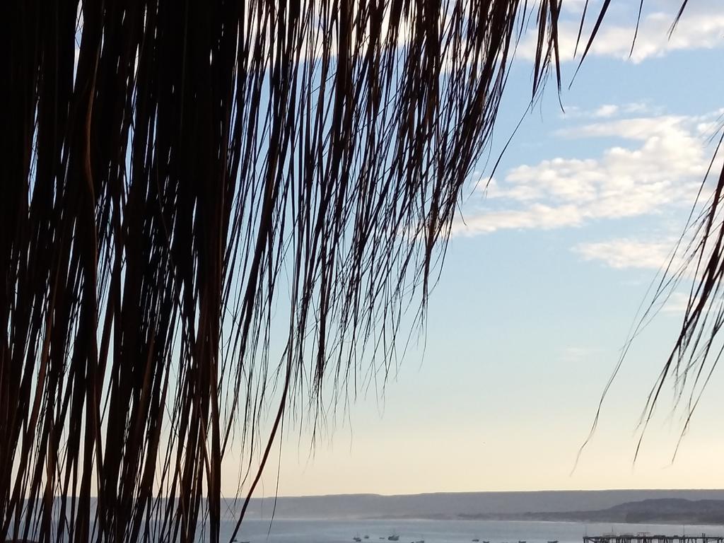 Lapa Lapa Lobitos Bungalows Hotel Bagian luar foto