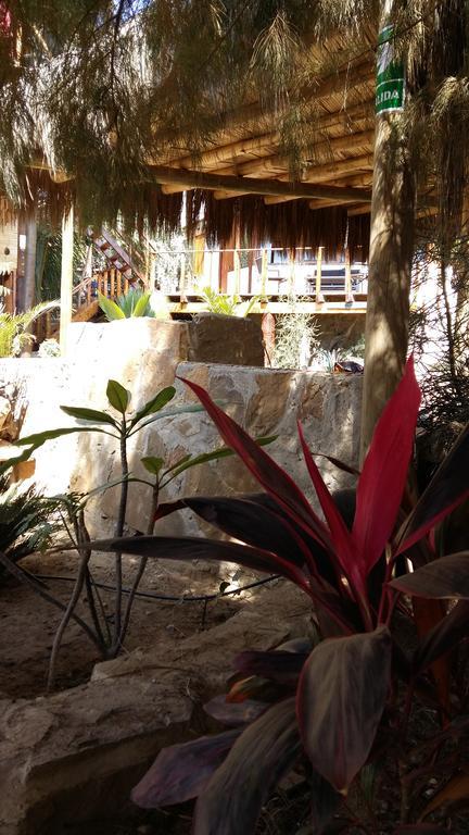 Lapa Lapa Lobitos Bungalows Hotel Bagian luar foto