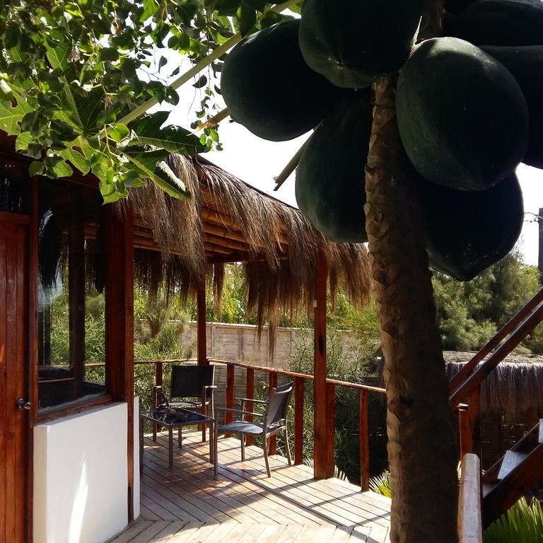 Lapa Lapa Lobitos Bungalows Hotel Bagian luar foto